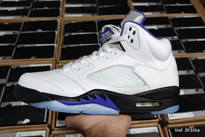 CONCORD 587 DD0587-141 Fashionable Air Jordan5 0815
